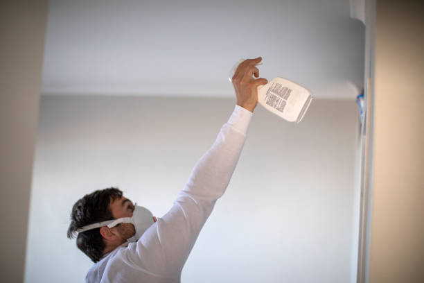 Best Mold Testing  in Havre De Grace, MD